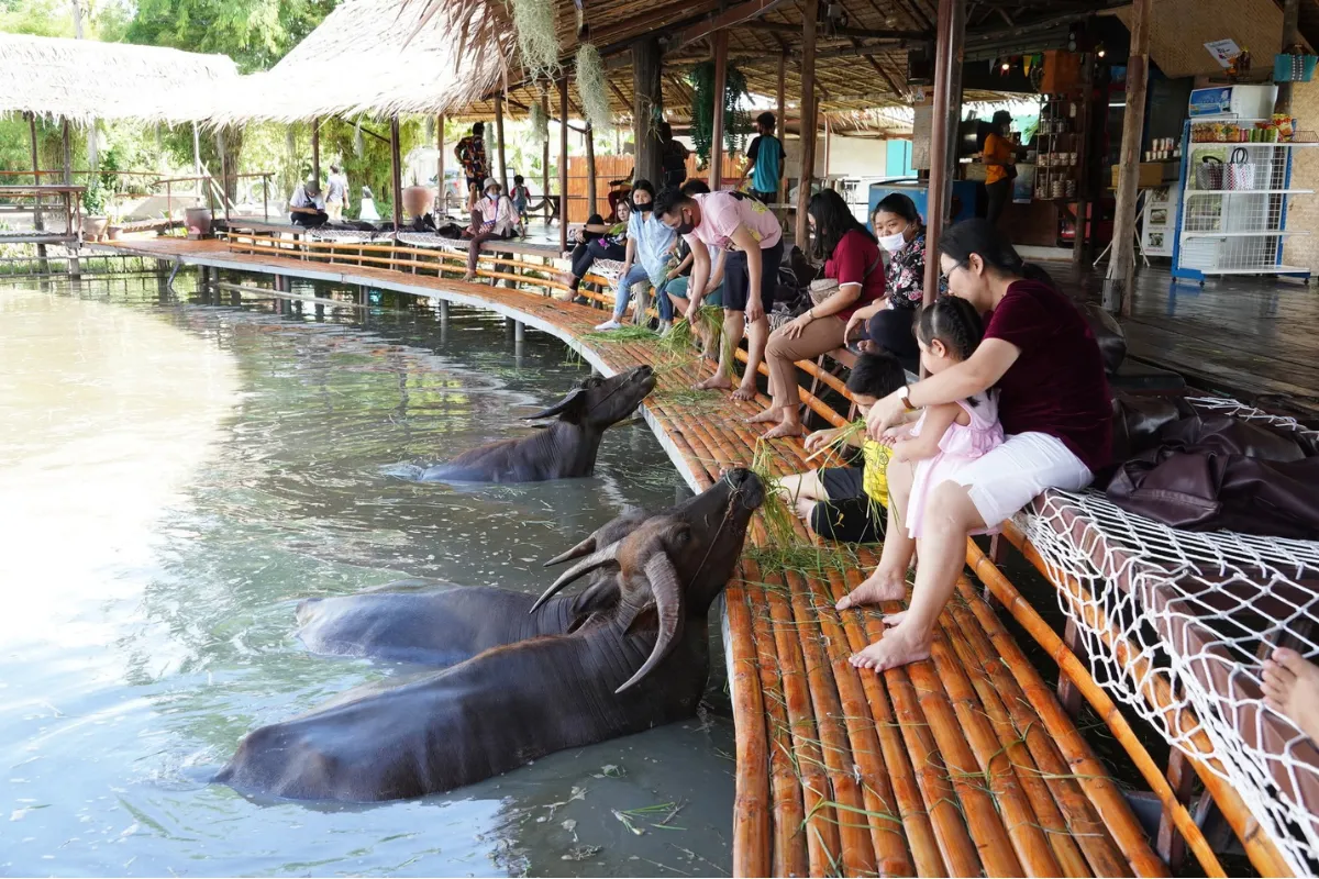 Buffalo Village