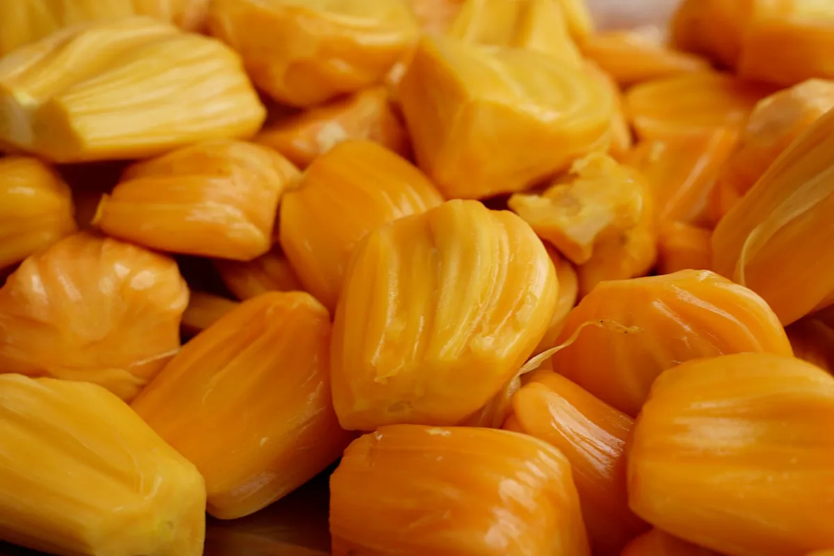 jackfruit