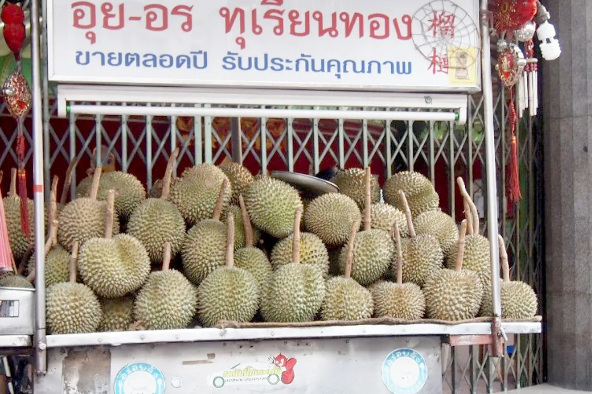 durian (1)