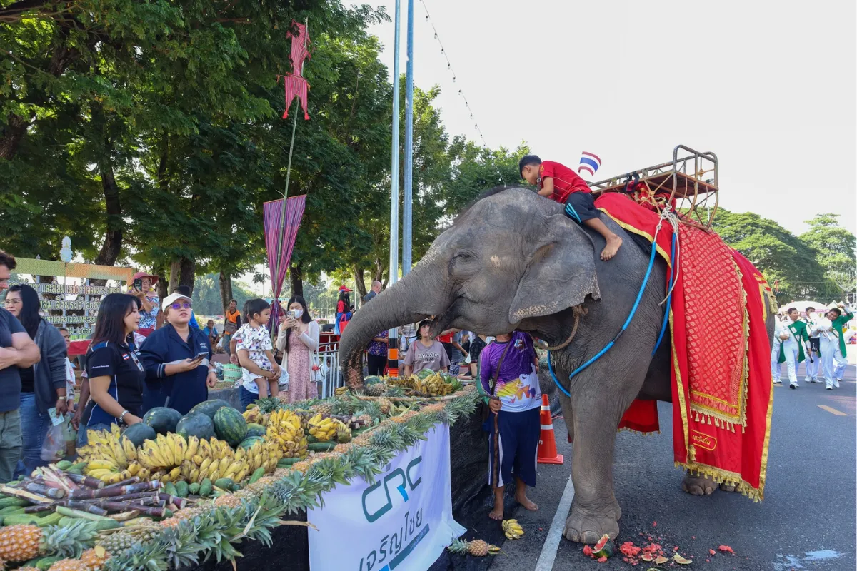 elephant buffet