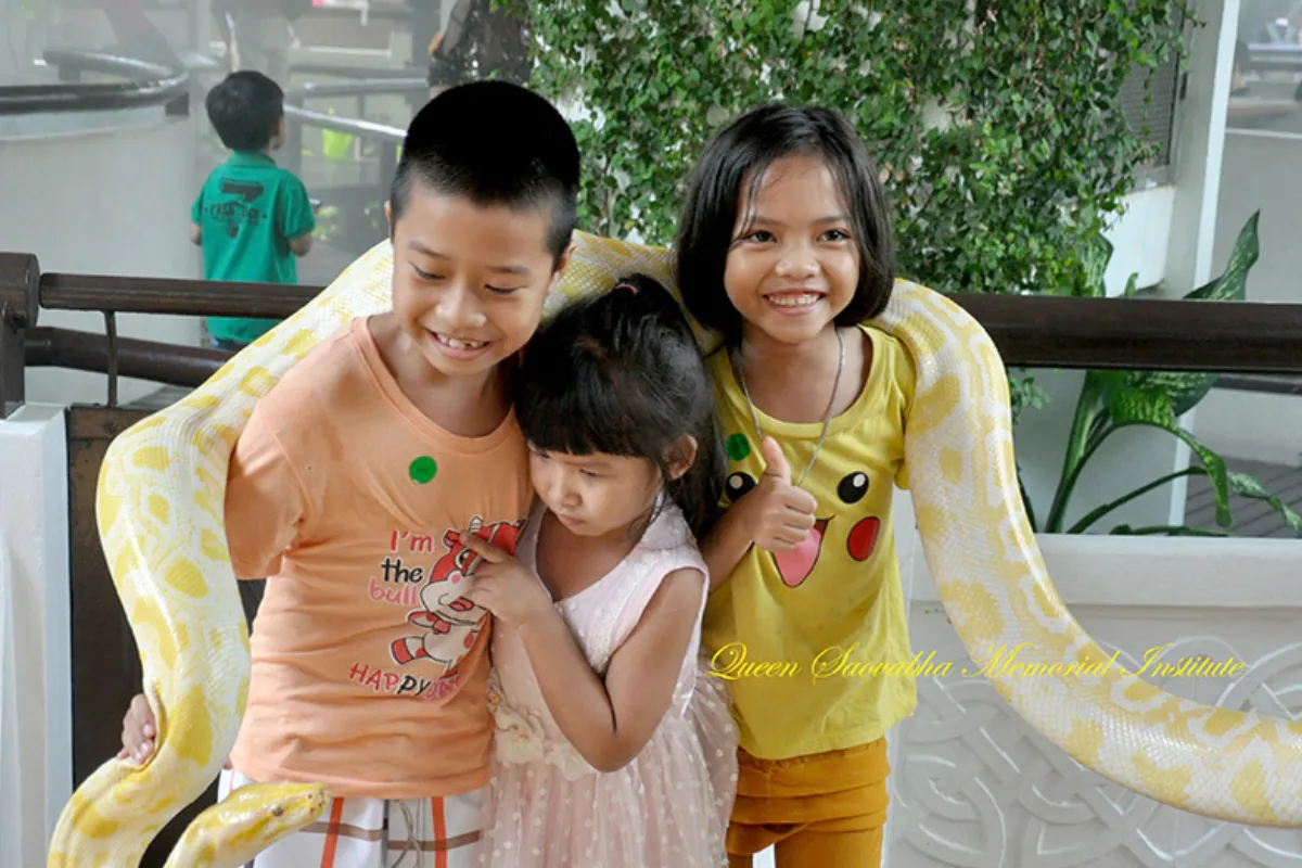 Idea for family tour in Bangkok and what to do?