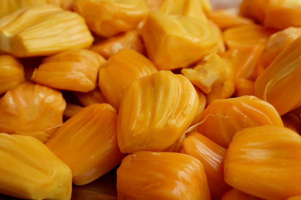 jack fruit