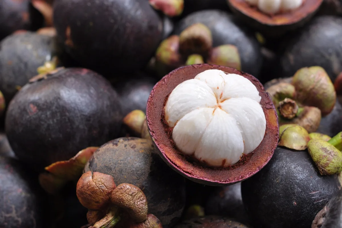 mangosteen