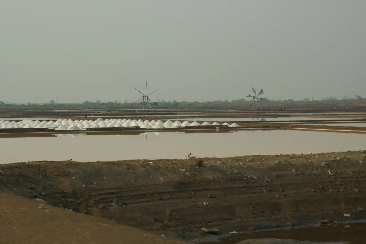 sea salt farm