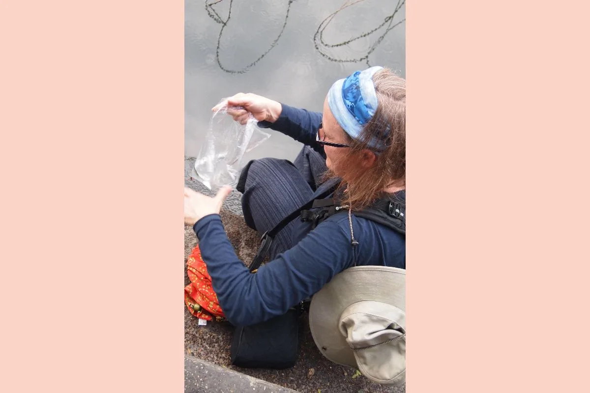 Merit making fish release
