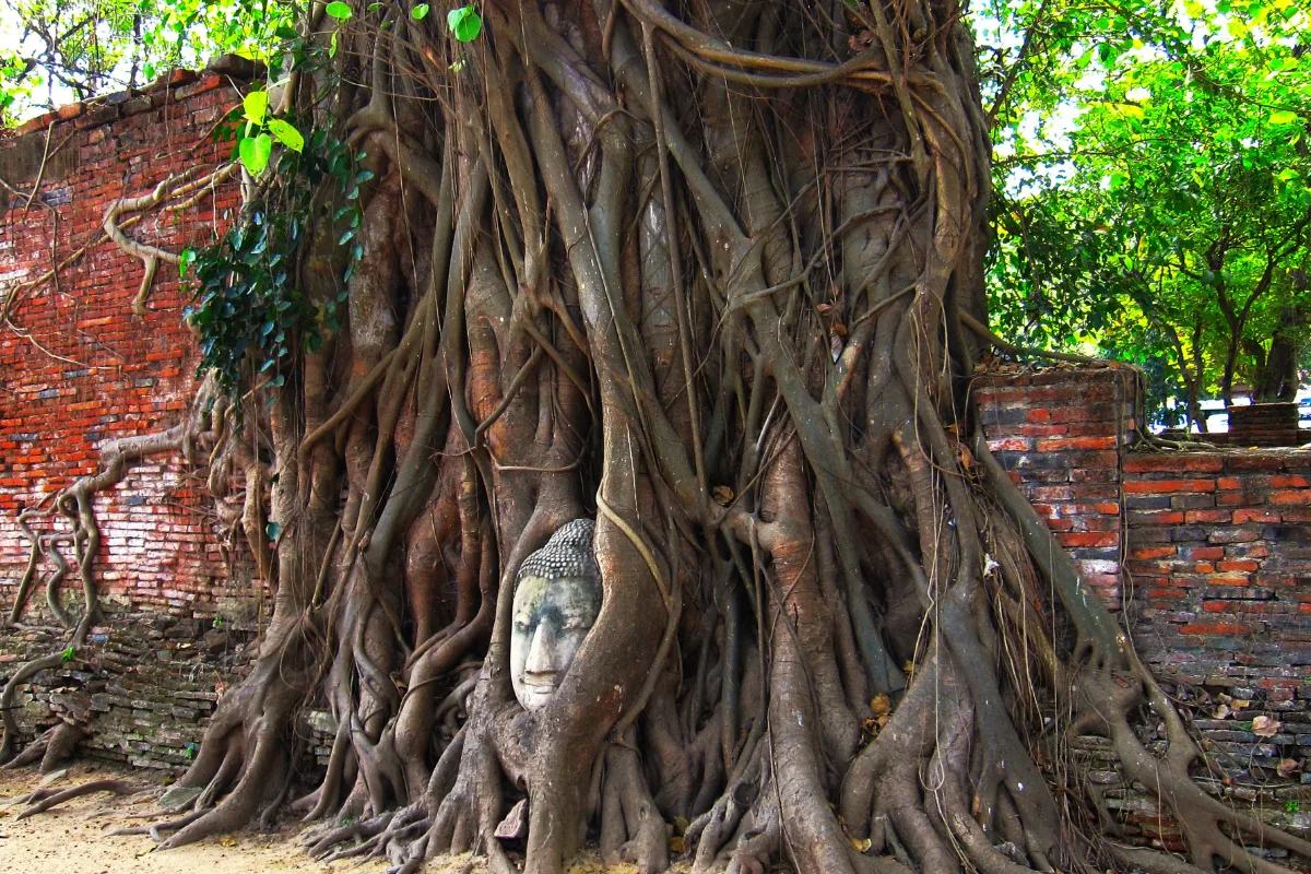 wat mahatat