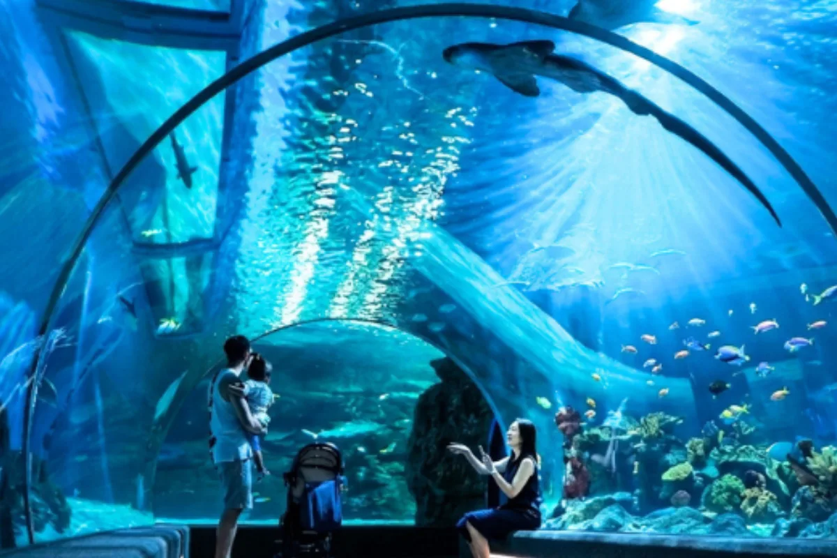 Siam Ocean World