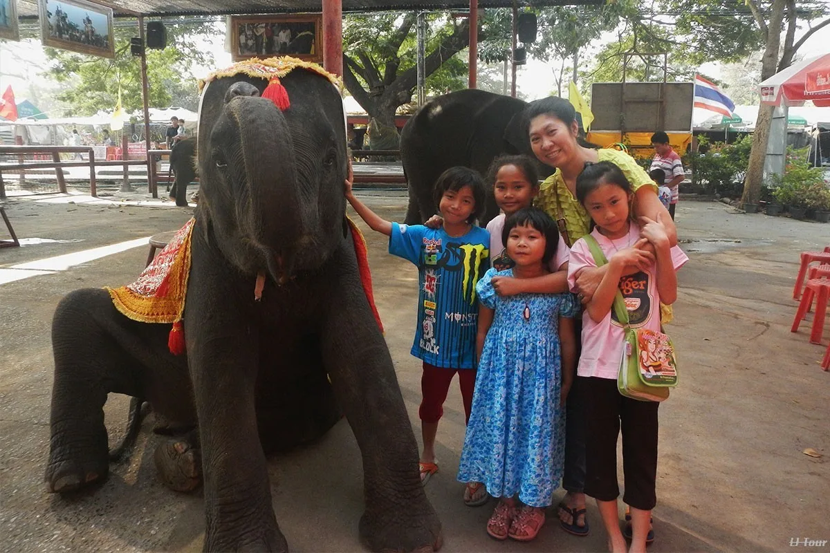 Elephant Ride