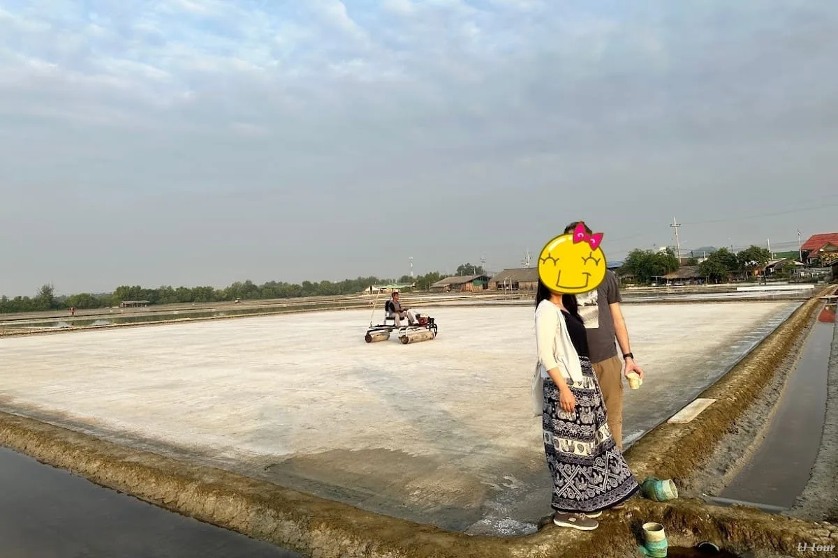 sea salt farm