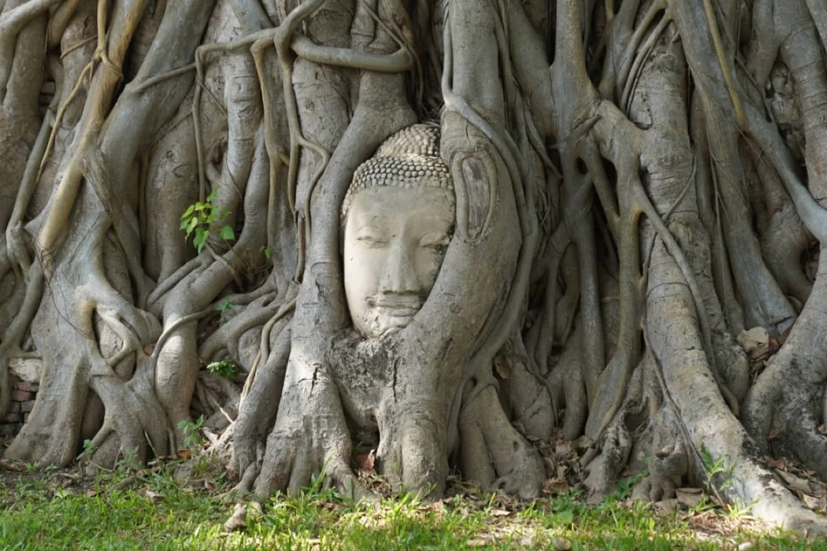 วัดมหาธาตุ