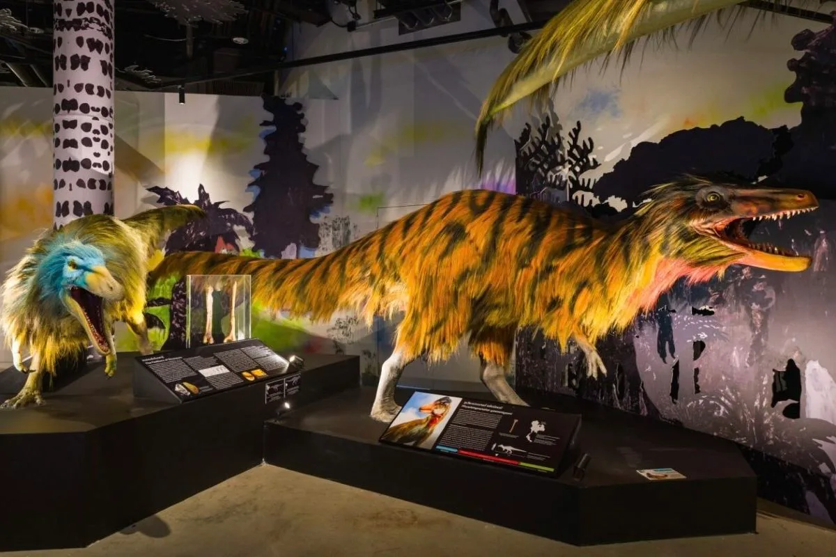THAINOSAUR Museum