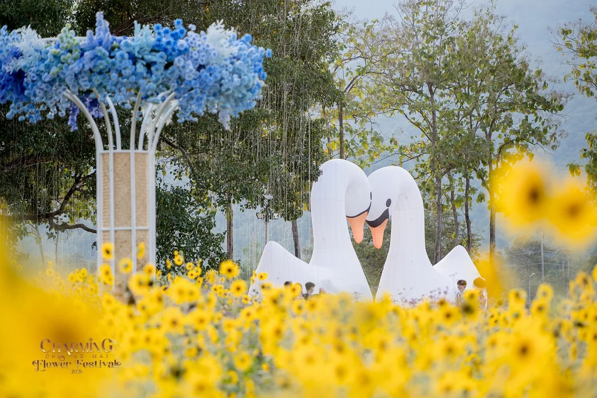 Charming Chiang Mai Flower Festival