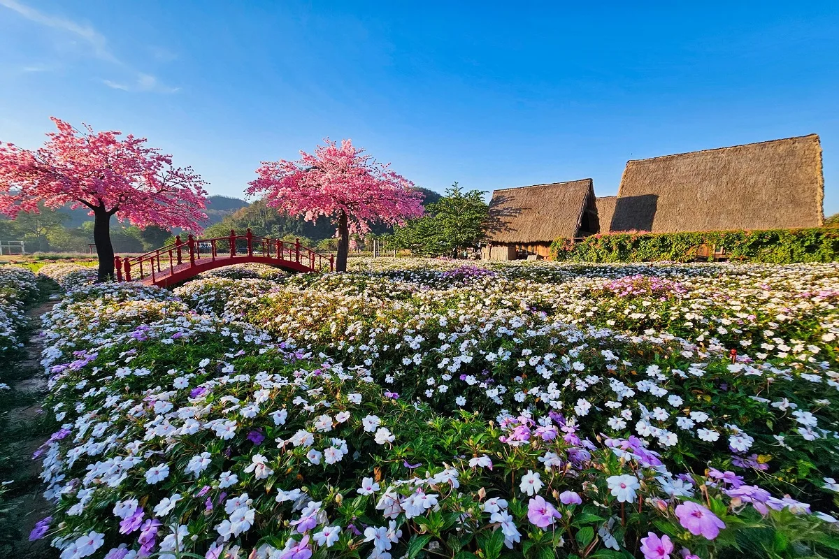 Hokkaido Flower Park Khaoyai