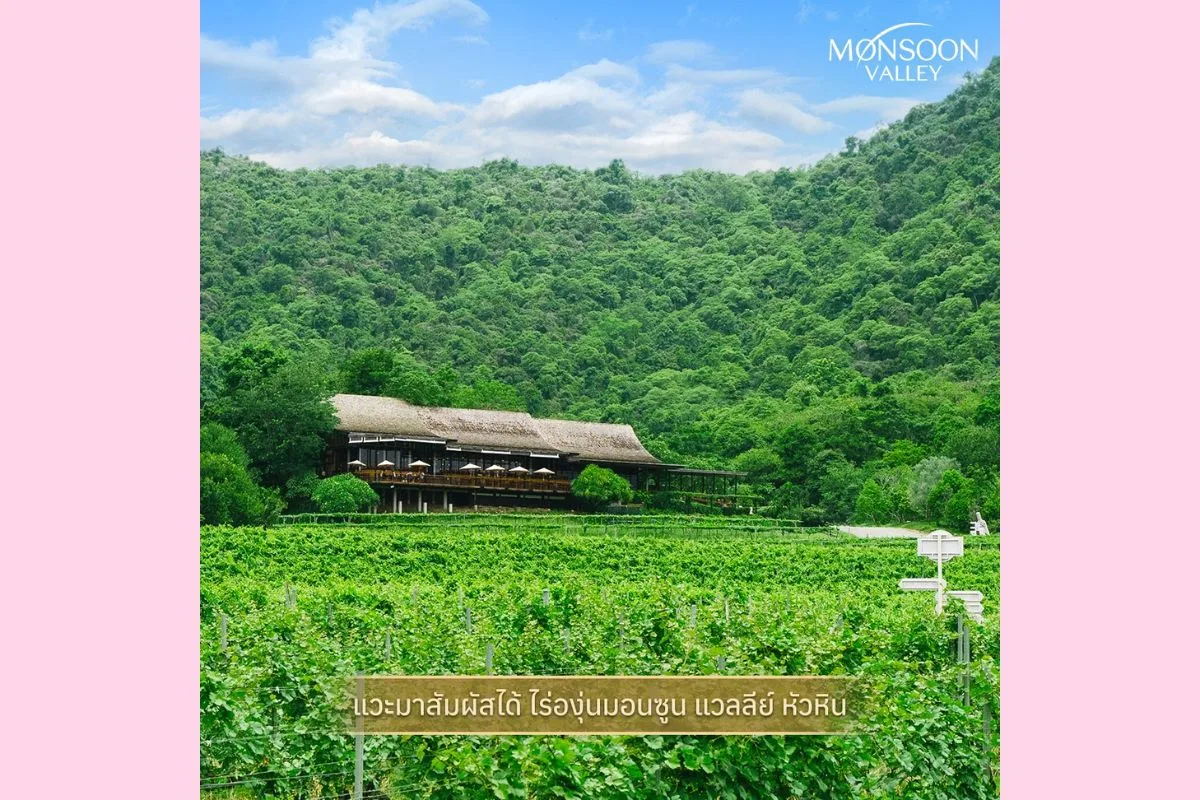 Monsoon Valley Vineyard