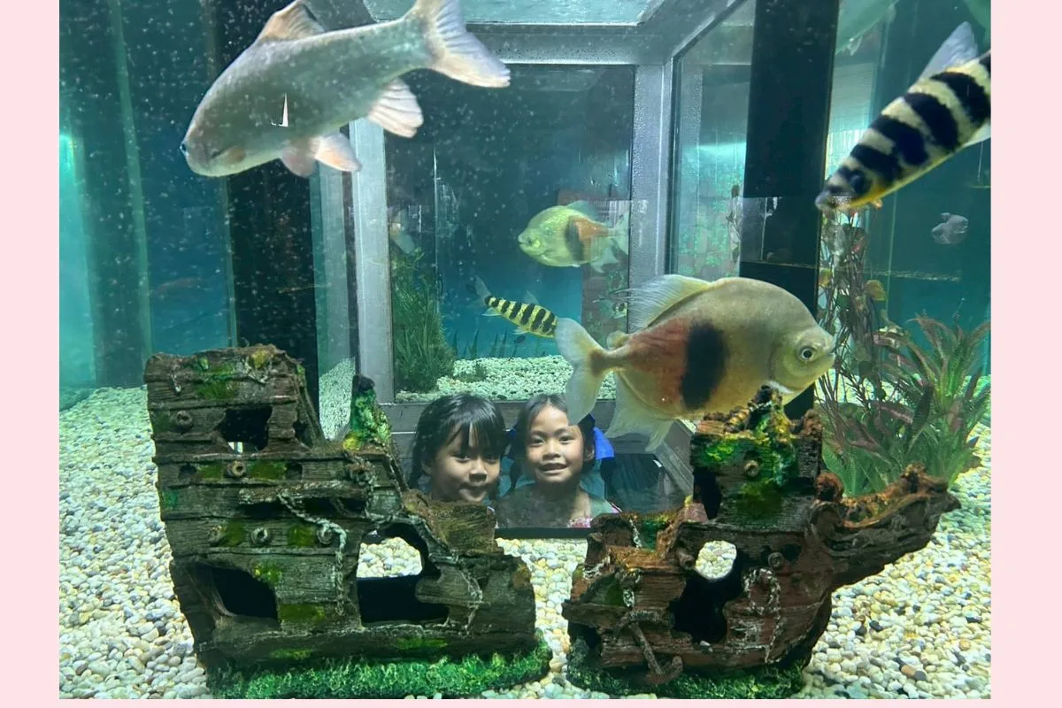 Monster Aquarium Pattaya