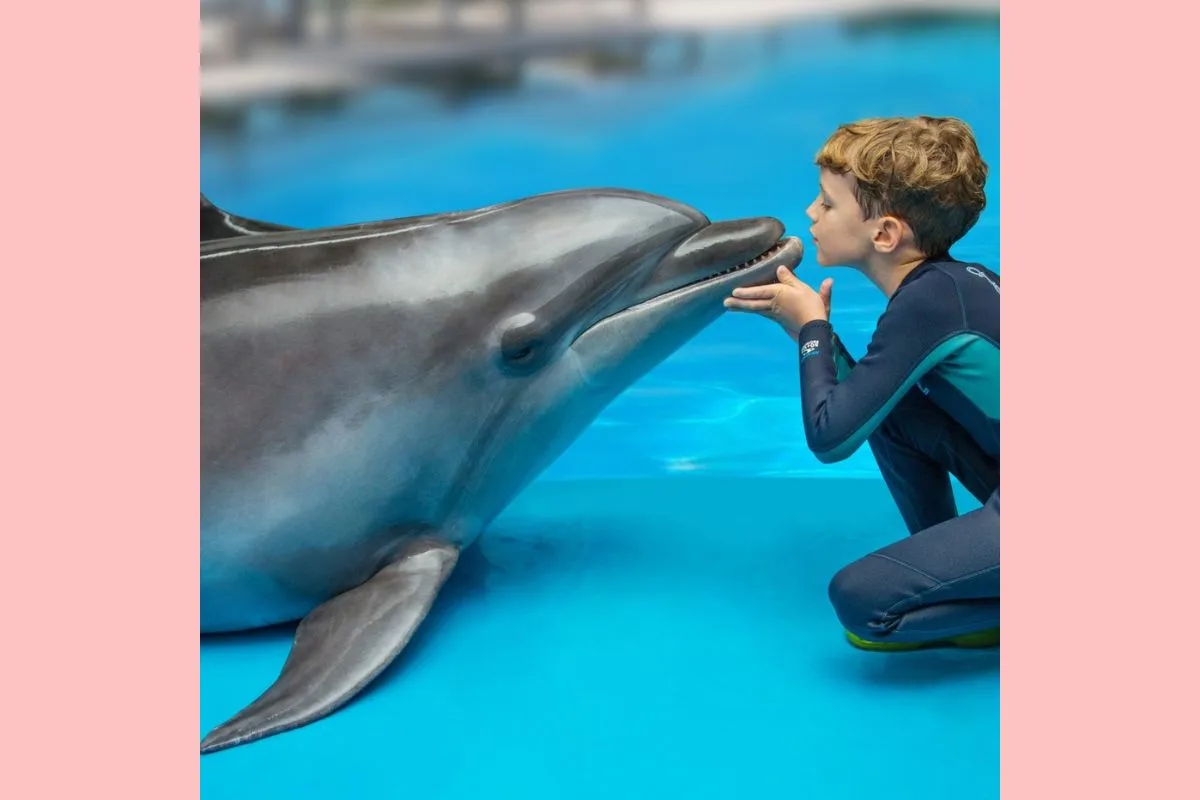 Pattaya Dolphinarium