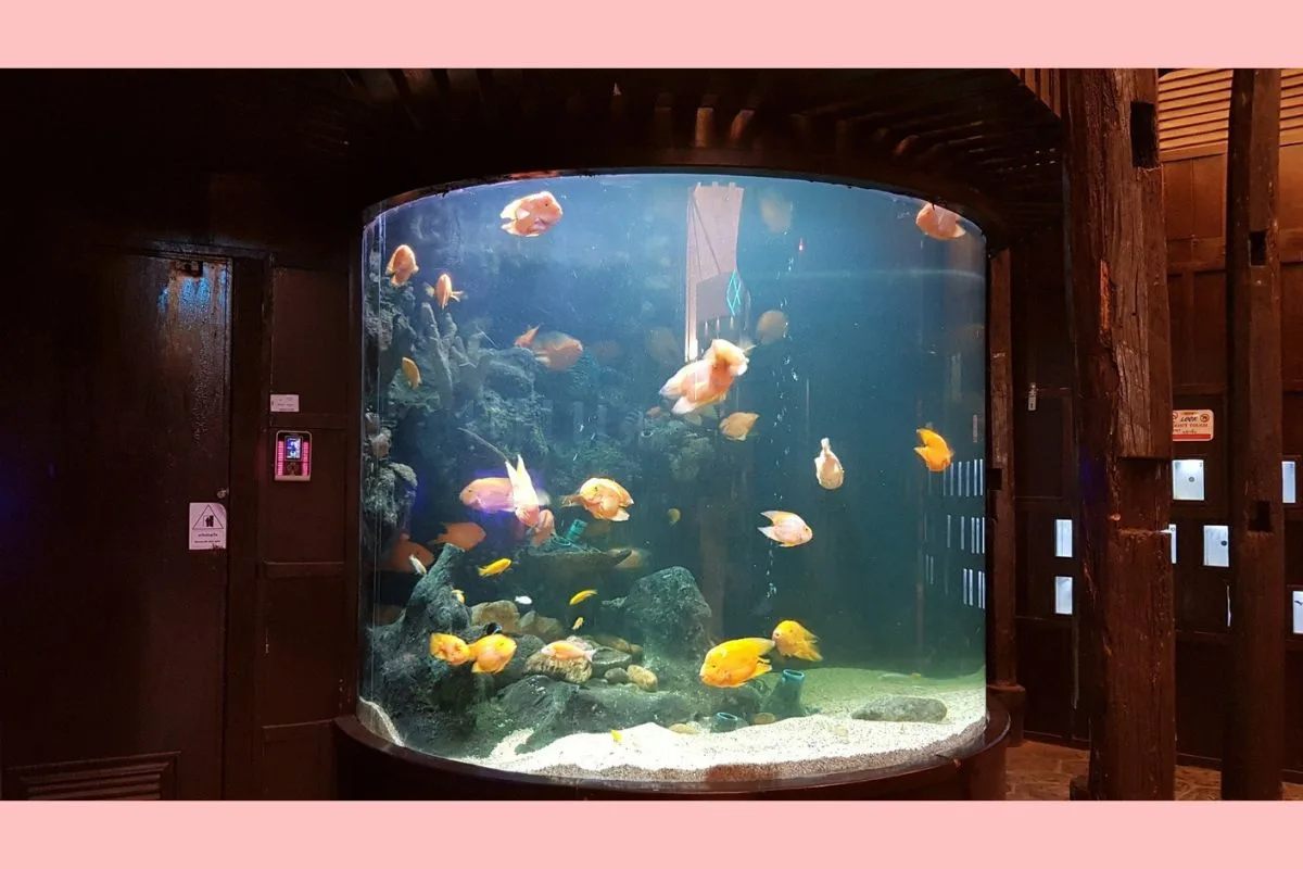 Underwater World Pattaya