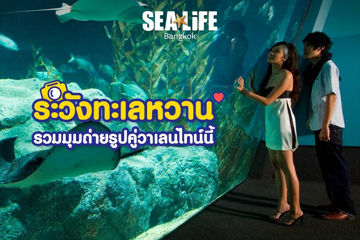 sea life bangkok ocean world