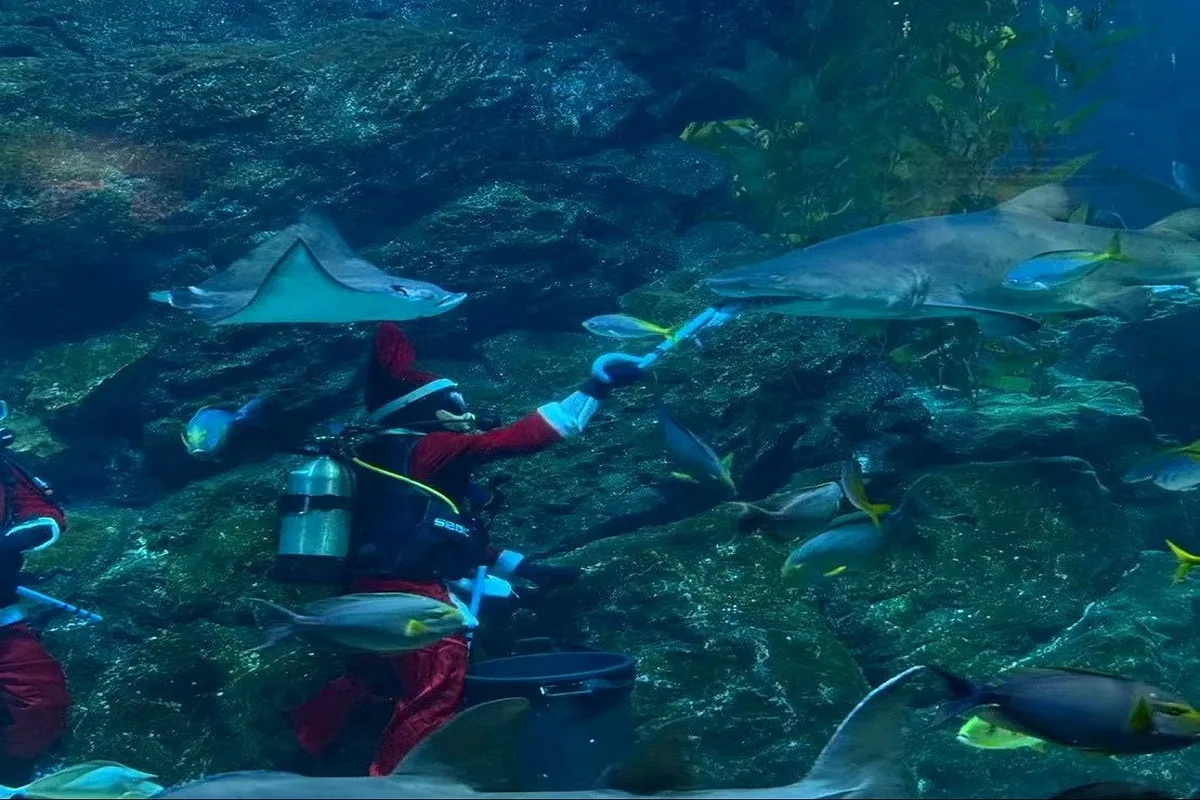 sea life bangkok ocean world