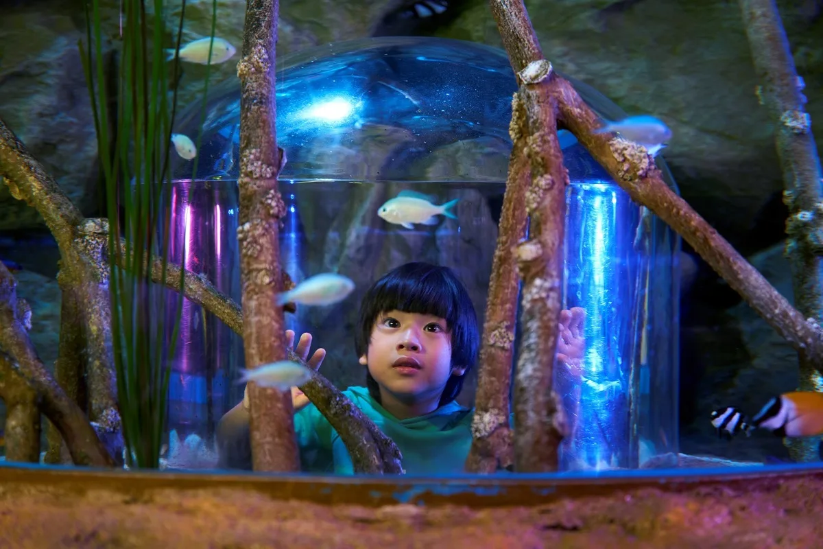 Sea Life Bangkok Ocean World