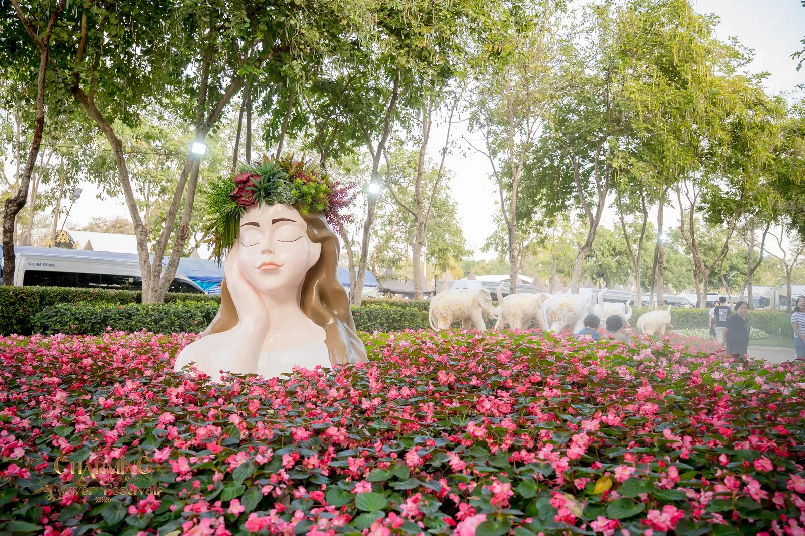 9 ทุ่งดอกไม้สวยที่สุดในไทย ปักหมุดพิกัดใหม่ที่ต้องไปเช็คอิน