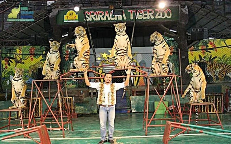 พัทยา สวนเสือศรีราชา