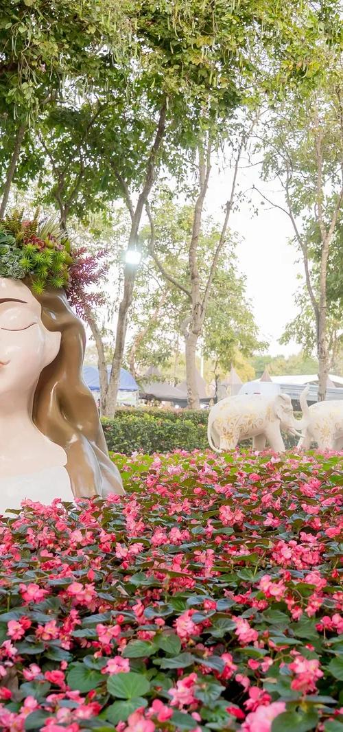 9 ทุ่งดอกไม้สวยที่สุดในไทย ปักหมุดพิกัดใหม่ที่ต้องไปเช็คอิน