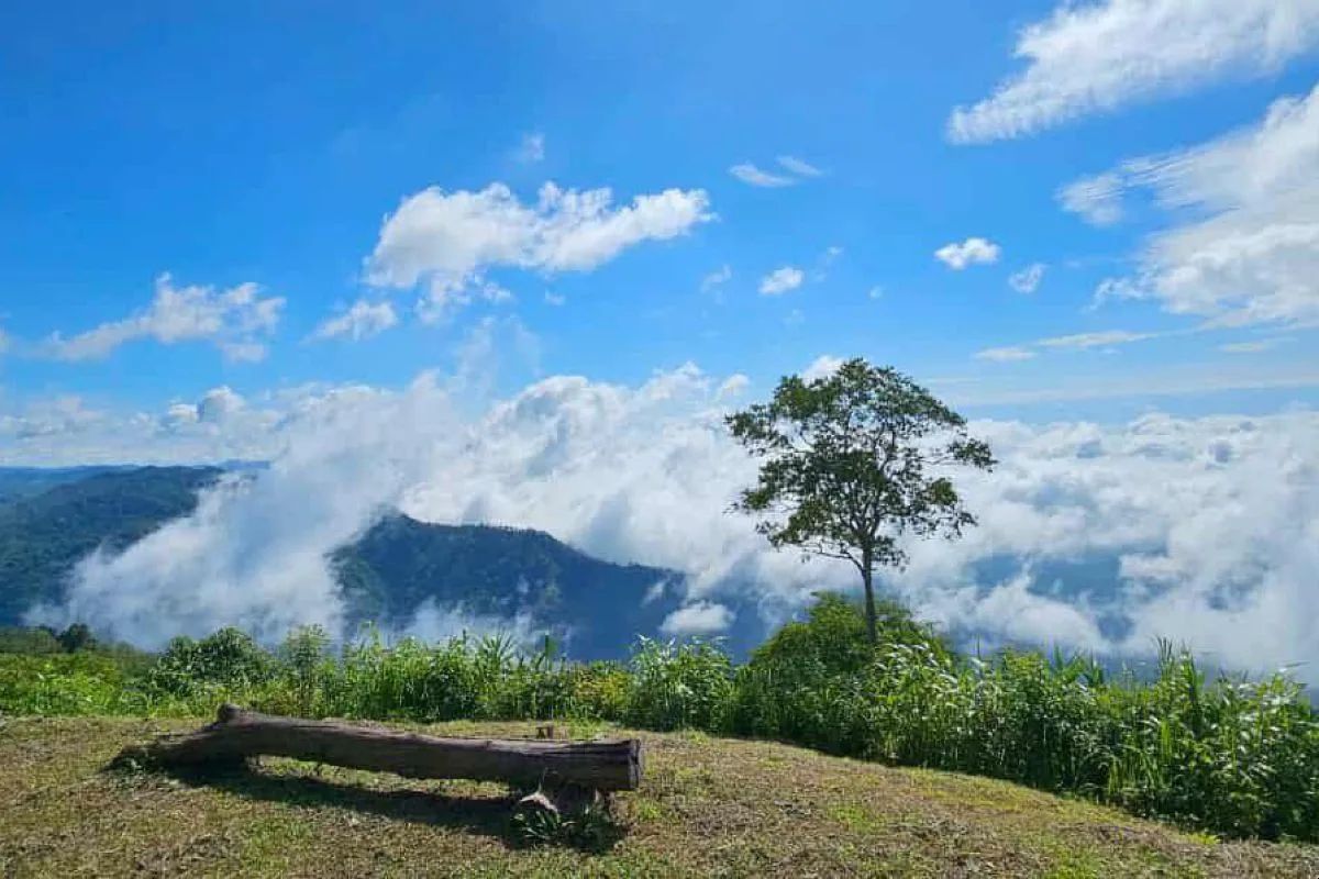 เที่ยวทั่วไทยเมื่อหนาวนี้มาเยือน