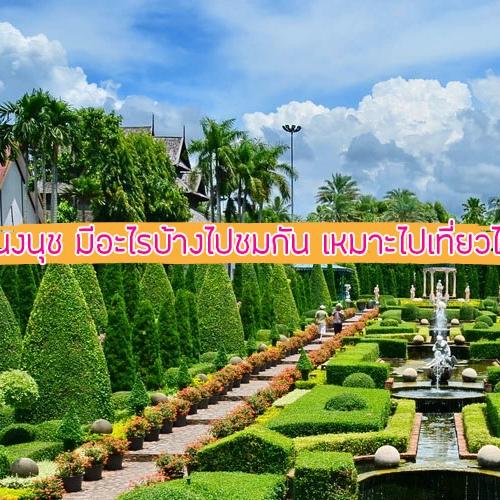 สวนนงนุช มีอะไรบ้างไปชมกัน เหมาะไปเที่ยวไหม