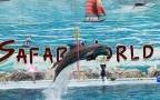 กรุงเทพ ซาฟารีเวิลด์ Package C:Safari Park +Marine park - ราคานักท่องเที่ยวต่างชาติ 8