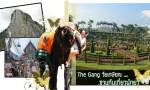 เที่ยวพัทยา กับ THE GANG วัยเกษียณ ที่ คุณจะต้องชอบ 4