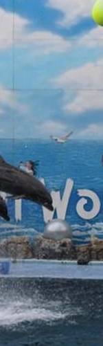กรุงเทพ ซาฟารีเวิลด์ Package C:Safari Park +Marine park - ราคานักท่องเที่ยวต่างชาติ 3