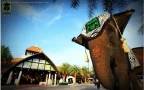 กรุงเทพ ซาฟารีเวิลด์ Package C:Safari Park +Marine park - ราคานักท่องเที่ยวต่างชาติ 14